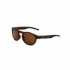 Ryders Camden Polarized Sunglasses - 2023 -Run Sales demigold 29659.1647526939